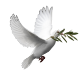 Branch of Israel